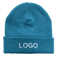 Collectie Winter Hoeden 2025 Nieuwe Stijl Unisex Verschillende Stijlen Custom Borduurwerk Logo Beanie Unisex Best Verkopen Pet
