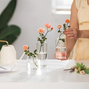 Vaso in Vetro Borosilicato Cilindrico Moderno <span class=keywords><strong>e</strong></span> Trasparente, Ecologico <span class=keywords><strong>e</strong></span> Decorativo per Centrotavola - Product Image 3