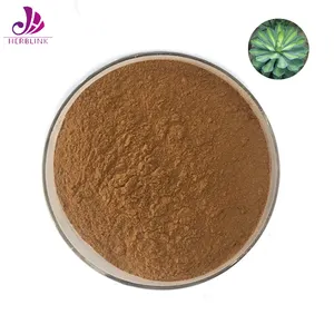 天然アガベリーフエキス10:1アガベリーフエキスパウダー - Product Image 1