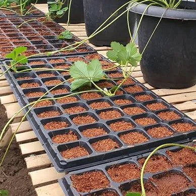 Vassoi per tappo cellulare per piantare semi semenzale per piante semina vassoio per vivaio vassoio per vivaio in plastica di alta qualità