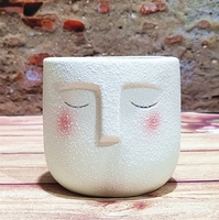 Conteneur de pot de plante verte succulente en céramique de modélisation de visage de dessin animé