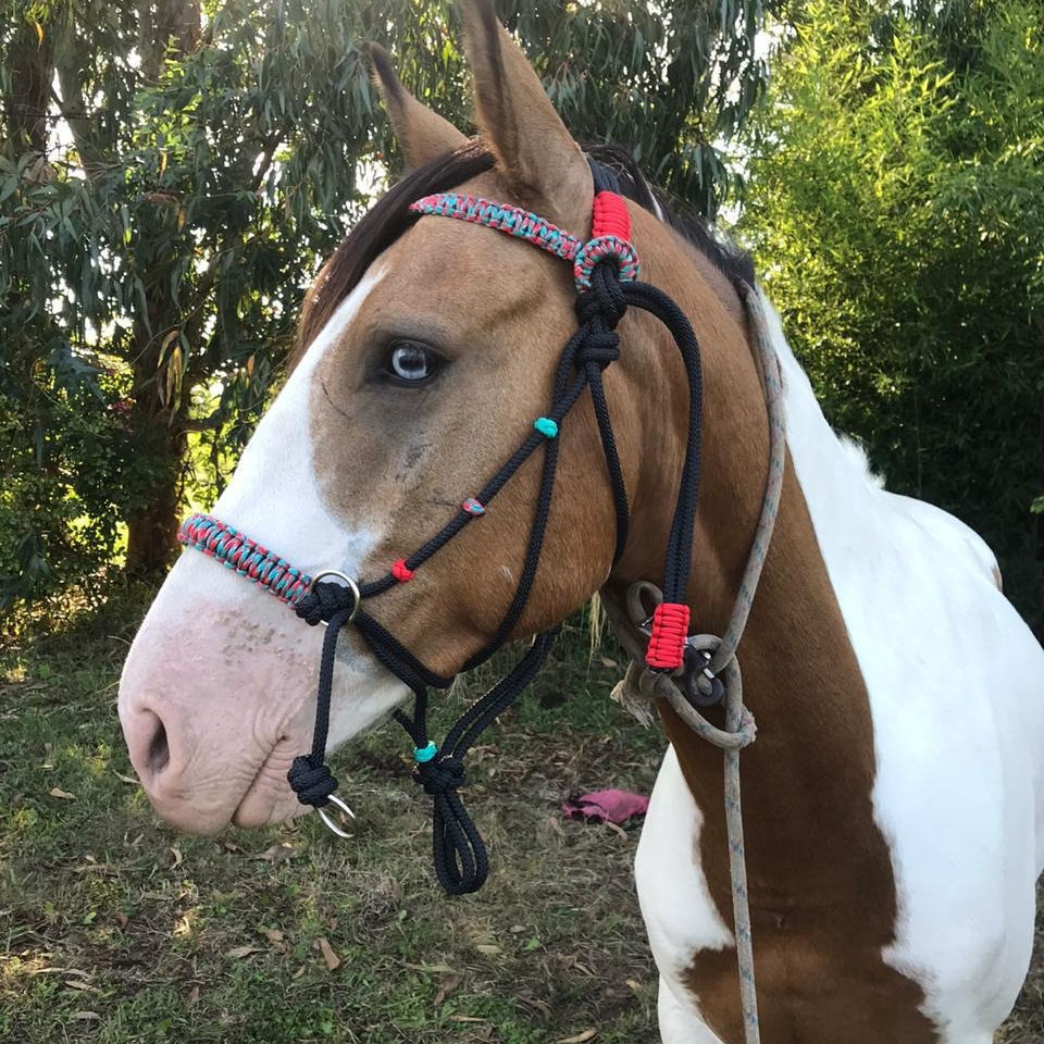 Lunghina Per Cavalli In Cotone - 2 Metri, Rosa, Con Gancio Antipanico, Per Cavalli/Pony
