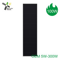 Panneau solaire haute efficacité 50W 80W 100W BC, module PV HPBC 12V 18V, module solaire PV pour clôture, vidéosurveillance, éclairage public