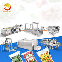 ORME Productielijn voor diepvriesaardbeien, kleine fruit- en groenteproducten, snijden, reinigen, drogen en IQF-vriezen.