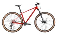 CAMP Cadre de vélo VTT en carbone UDH Cintre 12X148 Thru Axle 29er Hardtail Frame Set