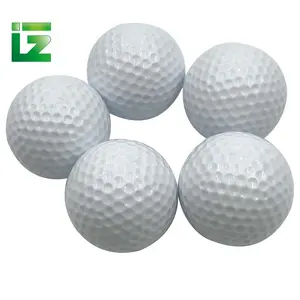 Promoción de fábrica Tour de entrenamiento Pelotas de golf Blanco Dos capas Rango personalizado Pelota de golf Artículos deportivos en stock