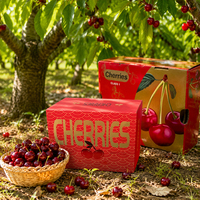Emballages personnalisés en carton ondulé de 2 kg pour cerises, avec pelliculage mat, pour fruits et légumes frais