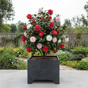 <span class=keywords><strong>Vaso</strong></span> da fiori in pietra arenaria leggera all'ingrosso vasi decorativi in calcestruzzo per piante e fiori - Product Image 1