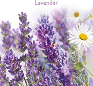 GEL de Neutradol <span class=keywords><strong>D</strong></span>ésodorisant Super Frais Dissolvant <span class=keywords><strong>d</strong></span>'<span class=keywords><strong>Odeurs</strong></span> <span class=keywords><strong>Destructeur</strong></span> Gel Puissance naturel - Product Image 3