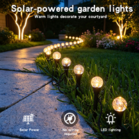 Lampes solaires à 20 LED IP65 avec globe en verre craquelé, à piquer dans le sol, guirlandes lumineuses étanches pour jardin, cour, allée, patio, décoration