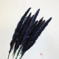 Rumput Pampas Kering Premium Buatan Tangan yang Diawetkan |   Gaya Boho untuk Dekorasi Pernikahan, Natal, Wisuda, dan Rumah - Tahan Lama 3-5 Tahun