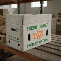 Boîtes en plastique ondulé creux en PP écologiques pour l'emballage et le stockage des légumes et des fruits