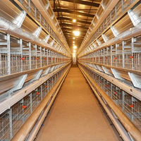 Meilleur prix pour les cages automatiques à batterie pour poules pondeuses, élevage de poules pondeuses, volailles, à vendre