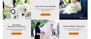 पेशेवर विषुव चिकित्सा उपकरण घोड़ों के पालतू जानवरों के लिए त्वरित दर्द राहत राहत शरीर अनुप्रयोग - Product Image 3