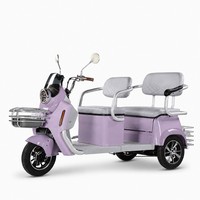 Tricycle Électrique Rétro Direct Usine OEM, Double Siège, Panier Avant, Moteur Arrière 1000W, Éclairage LED, Porte-Bagages, Vente en Gros Personnalisée