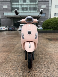 Trottinette Électrique Sans Balais 1000W, 45km/h, Design Tendance pour Trajets Quotidiens, Deux Roues, Grande Autonomie, Batterie Plomb-Acide ou Lithium, Moteur Haute Puissance 1000W/1 - Product Image 1