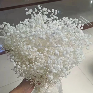 Ghirlande e Piante Floreali <span class=keywords><strong>Decorative</strong></span> Mini Fiori Stabilizzati Nebbiolina Fiori Secchi Ghirlande Bianche Bouquet Gypsophila YFM - Product Image 1