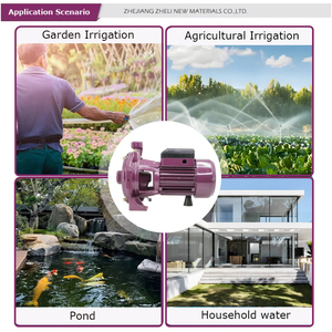 ZHELI <strong>Electric</strong> High Pressure Automotive Industry Centrifugal <strong>Pumps</strong> 28M Max Head Double Impeller Centrifugal <strong>Water</strong> <strong>Pump</strong> Cast Iron - Product Image 5