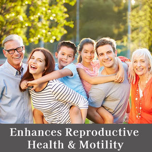 Hochwirksame männliche reproduktive Unterstützung kapseln mit <span class=keywords><strong>Vitamin</strong></span>-Mineral-Mischung zur Verbesserung der Fruchtbarkeit und der Beweglichkeit - Product Image 6