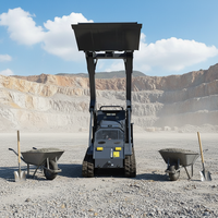 Mini-chargeuse compacte EPA Crawler, chargeuse compacte diesel Kubota pour l'agriculture et la construction