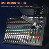 Depusheng FG12 Nouvelle conception Intégration de 24 effets de réverbération 12 canaux Mixeur audio numérique DJ MP3