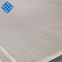 Tôle perforée en acier inoxydable 304/316 de 1 mm/1,5 mm pour grille de haut-parleur – Services de découpe, soudage et pliage – Design unique