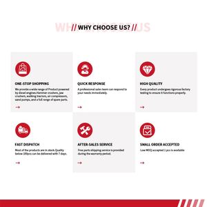 Moteur diesel monocylindre horizontal refroidi par eau Tengka Zs1110 20HP de haute qualité, très vendu - Product Image 4