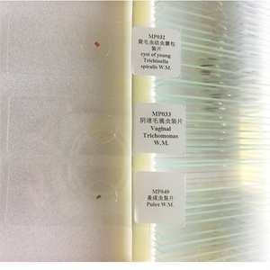 Siswa sekolah mengajar 50 jenis mikroskop parasitologi medis disiapkan Set slide Parasitologi - Product Image 2
