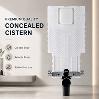 WC intelligent mural en acier inoxydable avec réservoir d'eau dissimulé, chasse d'eau manuelle, vidange au sol, 8L, design moderne, pour salle de bain professionnelle