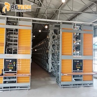 Cage à poulets de type H galvanisée à 50000 couches pour la collecte des œufs et l'abreuvement, conception d'équipement avicole automatique en batterie pour le Nigéria