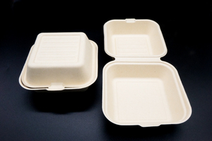 Boîte à hamburger en bagasse naturelle/blanche, écologique, biodégradable, durable, 6x6, 9x6, 8x8, 9x9 pouces - Product Image 4