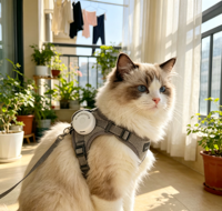 Traceur GPS Mini Air Tag Rond SOS pour Enfants, Idéal pour Anti-perte, Traceur de Localisation I-tag pour Animaux de Compagnie, Anti-perte GPSONE APP