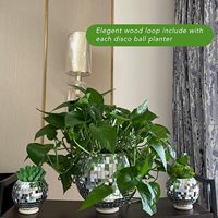 Pot de planteur en boule pour balcon, en forme de boule, rose, vert, à l'intérieur, argenté, 10cm 15cm 20cm 25cm, offre spéciale,