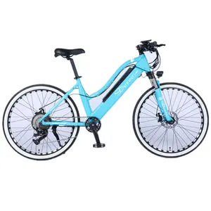 2024 Gcc Ce Ul Sport 2 Wielen Volwassen Elektrische Mountainbike 26 "Aluminium Lithium Batterij 12 Snelheid