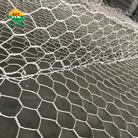 Grillage gabion en fil de fer galvanisé à succès, revêtu de PVC, à mailles hexagonales, pour la lutte contre les inondations et les travaux de terrassement