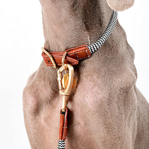 Kunden spezifisches eigenes Logo Personal isiertes Design Nylons eil Haustier halsband Verstellbares Luxus leder Xxl Hunde geschirr und Leinen-Set - Product Image 3