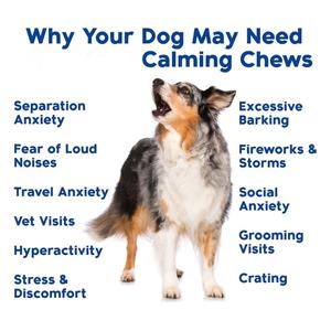 Integratori e Vitamine per Animali Domestici con Melatonina, Riduce Ansia, Stress e Iperattività, Etichetta Privata Disponibile - Product Image 2