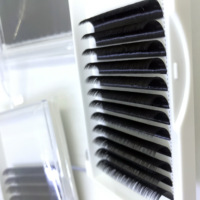 Lagee-extensions de cils en faux vison, noir de jais brillant, pour cils, volume russe de qualité garantie