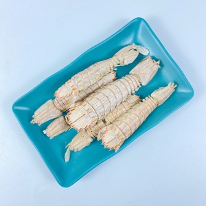 Friandises pour chats de qualité supérieure, riches en calcium, à base de vrais fruits de mer, en petites lots, saines et croustillantes, marque privée, crevettes mantis lyophilisées - Product Image 2