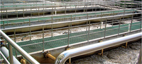 Diffuseur d'aération en acier inoxydable pour le traitement des eaux usées, fosse septique, traitement des eaux usées aérrées, aérateur