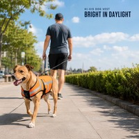 Gilet respirant en maille pour chien avec panneaux réfléchissants et tour de poitrine réglable, idéal pour les courses estivales et les sorties à la plage