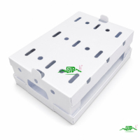 PP golfkartonnen plastic productenbox met open bovenkant en maatwerk voor supermarkt fruit- en groentepresentatie
