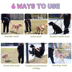 UMIONE Guinzaglio per Cani di Lusso Personalizzato con Motivo Floreale, Manico Riflettente in Nylon, Elastico Regolabile per Passeggiate a Mani Libere - Product Image 2