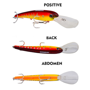 20cm 43G 5 colores flotante Artificial Big Minnow señuelo <span class=keywords><strong>de</strong></span> pesca <span class=keywords><strong>cebo</strong></span> duro HECHO <span class=keywords><strong>DE</strong></span> PVC plástico ABS para pesca <span class=keywords><strong>de</strong></span> agua dulce y salada - Product Image 4