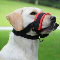 Museau anti-morsure et anti-aboiement le plus vendu museau d'entraînement pour chien museau réglable pour chien