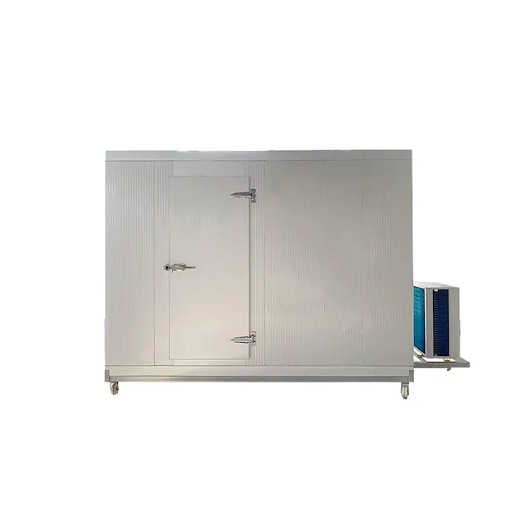 2024 conteneur d'équipement réfrigéré modulaire refroidisseur à pied mini petit congélateur à air froid mobile prix de la chambre pour la viande
