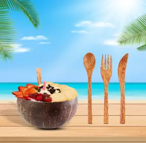 Vente en gros de bols à salade en bois naturels polis et faits à la main, ensembles de bols en coquille de noix de coco avec cuillère et fourchette