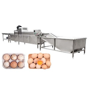 เครื่องทำความสะอาดและอบไข่ห่านไก่แบบทนทานเครื่องล้างไข่เชิงพาณิชย์ - Product Image 1