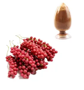 pure schisandra chinensis extract powder