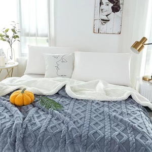 Taffel nhà sử dụng vải Polyester hai lớp Trải Giường Màu rắn với Nap falai in dày chăn vuông - Product Image 1